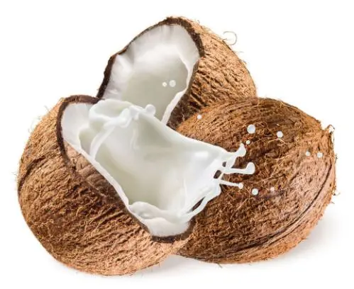 coconut coconut