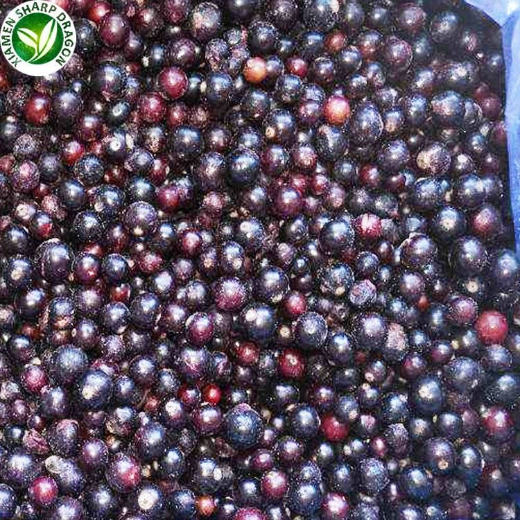 frozen Blackcurrant fruit bars frozen Blackcurrant fruit bars