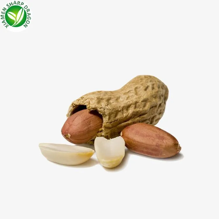 Frozen boiled peanuts two kernel pods Grade A