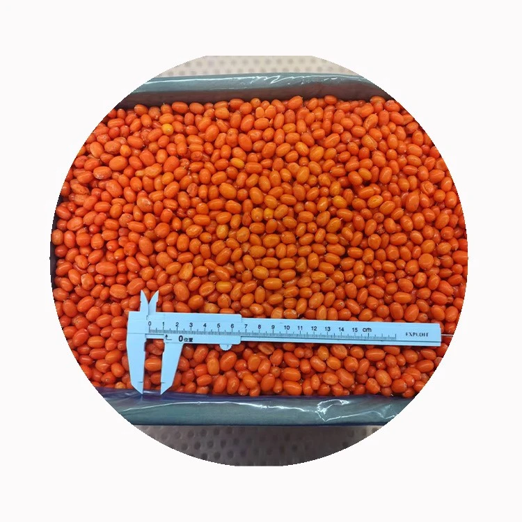 frozen Sea Buckthorn protein shake frozen Sea Buckthorn protein shake