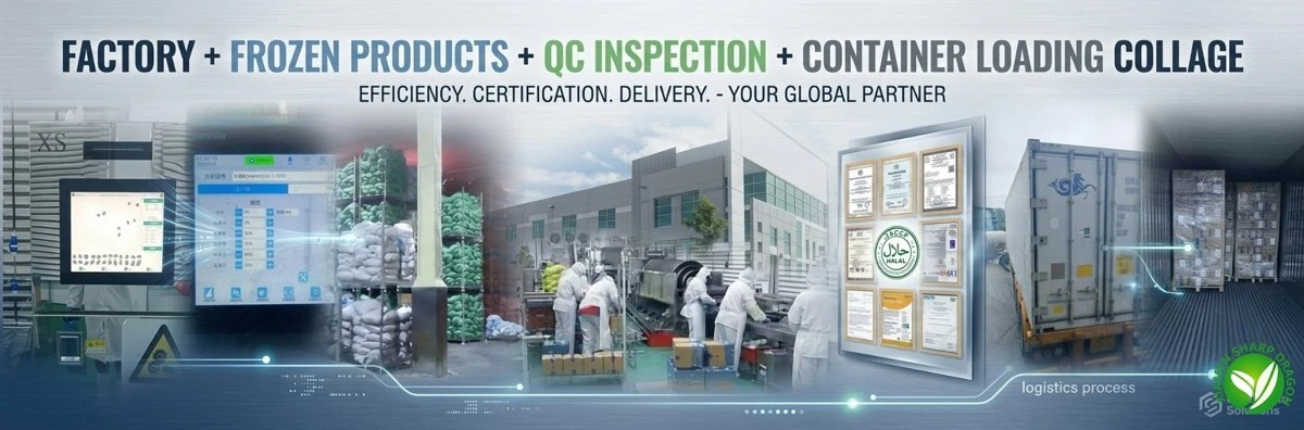 Factory frozen products QC inspection container loading collage Factory frozen products QC inspection container loading collage