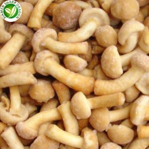 Nameko sopppris