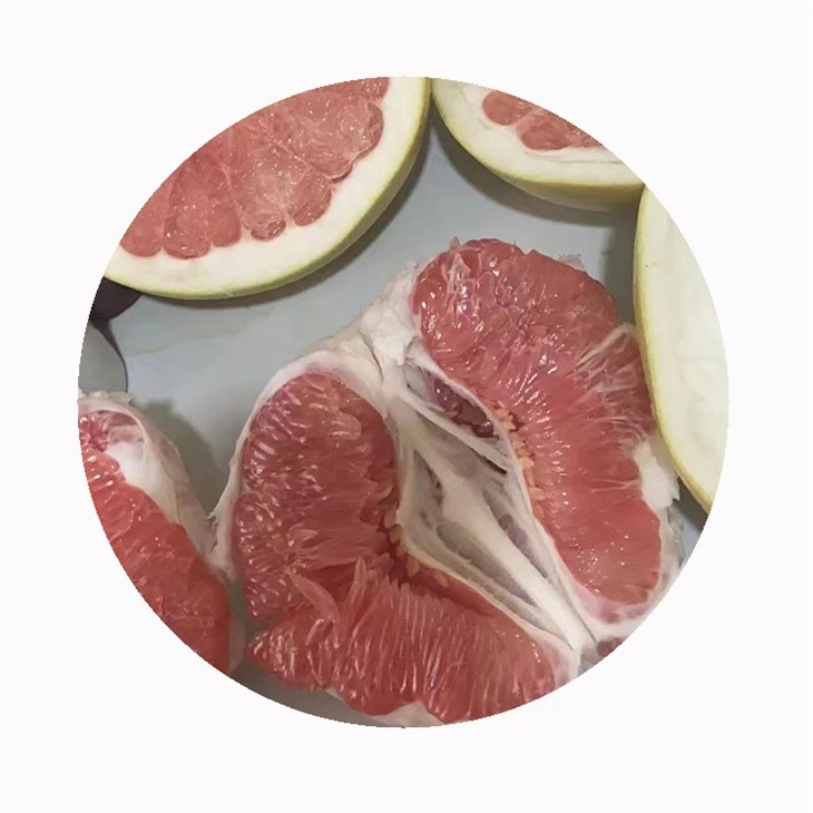 grapefruit manufacturer